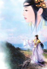衡衝直撞/同類